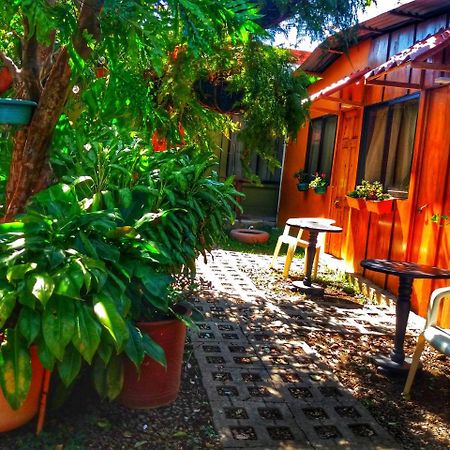 Laurel House Διαμέρισμα San Antonio De Belen Εξωτερικό φωτογραφία
